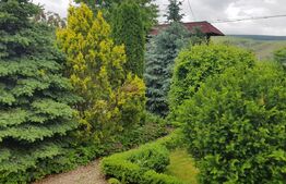 Proprietate HORECA cu sala de evenimente moderna,  intr-o oaza de liniste 