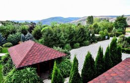 Proprietate HORECA cu sala de evenimente moderna,  intr-o oaza de liniste 