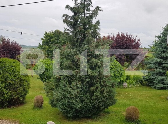 Spațiu comercial de vânzare  - 135710SVC | BLITZ Cluj-Napoca | Poza2