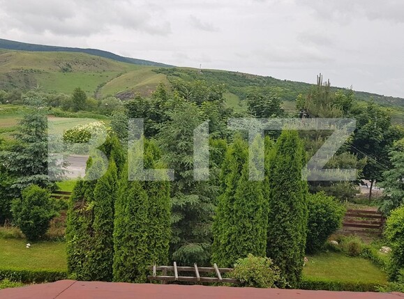 Spațiu comercial de vânzare  - 135710SVC | BLITZ Cluj-Napoca | Poza3