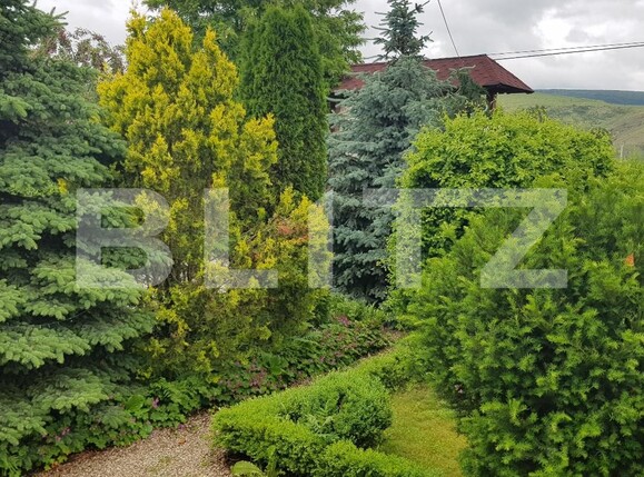Spațiu comercial de vânzare  - 135710SVC | BLITZ Cluj-Napoca | Poza4