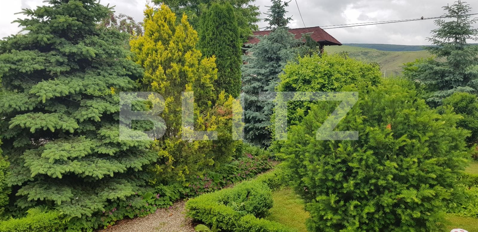 Spațiu comercial de vânzare  - 135710SVC | BLITZ Cluj-Napoca | Poza4