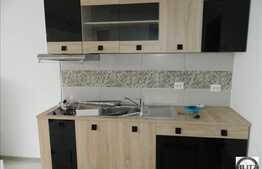 1 camera, 28 mp, totul nou, prima inchiriere, zona UMF