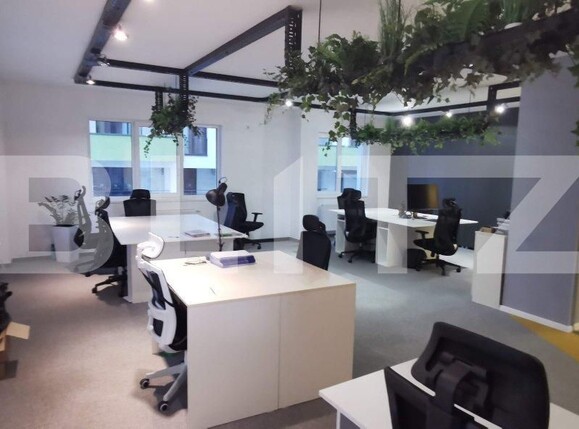 Spațiu birouri de închiriat Zorilor - 135736SIB | BLITZ Cluj-Napoca | Poza2