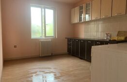 Apartament 2 camere la casa , 64 mp, curte 500mp,  parcare , zona strazii Corneliu Coposu