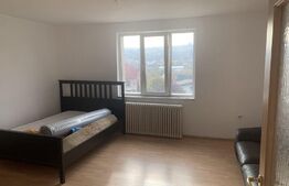 Apartament 2 camere la casa , 64 mp, curte 500mp,  parcare , zona strazii Corneliu Coposu
