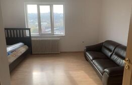 Apartament 2 camere la casa , 64 mp, curte 500mp,  parcare , zona strazii Corneliu Coposu