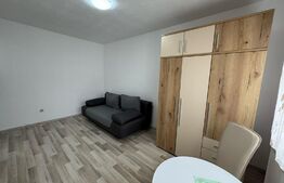 Garsoniera moderna, 20 mp, etaj intermediar, zona Bucium 