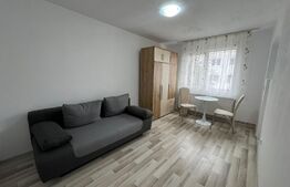 Garsoniera moderna, 20 mp, etaj intermediar, zona Bucium 