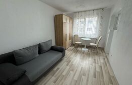 Garsoniera moderna, 20 mp, etaj intermediar, zona Bucium 