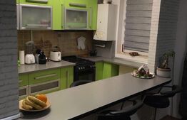 Apartament 2 camere, 49mp terasa 33mp, zona Porii