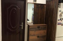 Apartament 2 camere, 49mp terasa 33mp, zona Porii