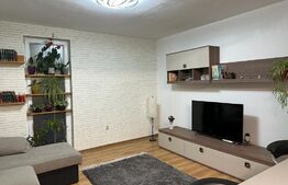 Apartament 2 camere, 49mp terasa 33mp, zona Porii