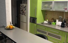 Apartament 2 camere, 49mp terasa 33mp, zona Porii