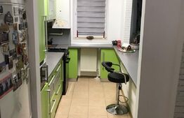 Apartament 2 camere, 49mp terasa 33mp, zona Porii