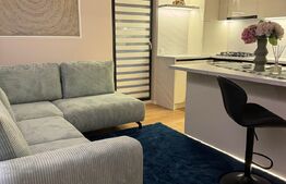 Ap 3 cam, 60 mp utili, terasa 27 mp, ultralux, parcare, zona centrala