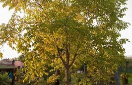 Garsoniera cocheta, 37mp,  Parcare, Someseni