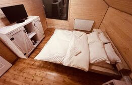 Cabana Belis superba 150mp utili, 1000mp teren, utilata, SMART