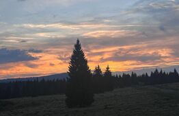 Cabana Belis superba 150mp utili, 1000mp teren, utilata, SMART