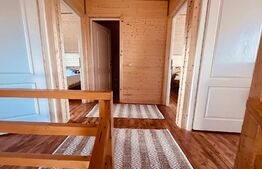 Cabana Belis superba 150mp utili, 1000mp teren, utilata, SMART