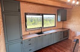 Cabana Belis superba 150mp utili, 1000mp teren, utilata, SMART