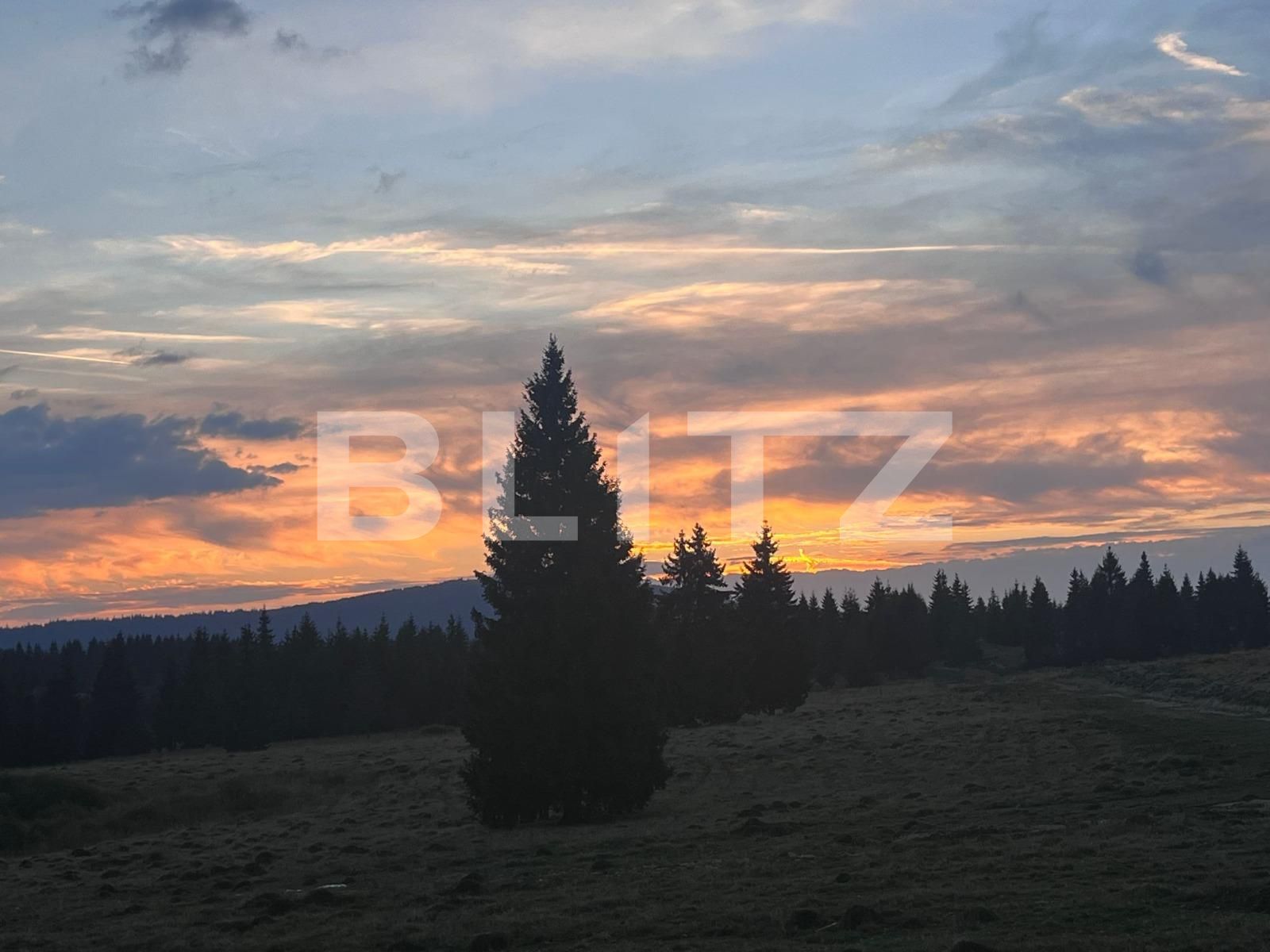 Casa de vânzare 5 camere Beliș - 135819CV | BLITZ Cluj-Napoca | Poza12