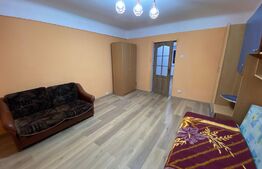 Apartament recent renovat cu o camera, 32 mp, zona Oasului