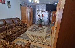 Apartament 2 camere Tractoru- insorit - bucatarie mare 50 mp- zona Coresi