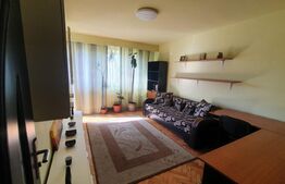 Apartament 2 camere, 41mp, zona Strazii Grigore Alexandrescu