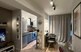 Apartament de 2 camere , la cheie, 38 mp, Manastur