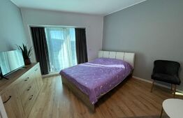 Apartament 1 camera, 45 mp, pet friendly, balcon, zona Wings 