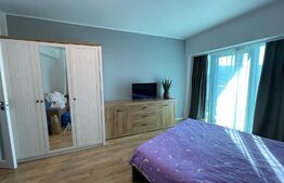 Apartament 1 camera, 45 mp, pet friendly, balcon, zona Wings 