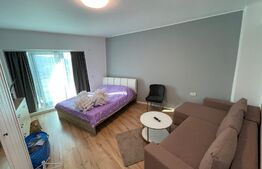 Apartament 1 camera, 45 mp, pet friendly, balcon, zona Wings 