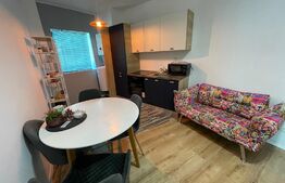 Apartament 1 camera, 45 mp, pet friendly, balcon, zona Wings 