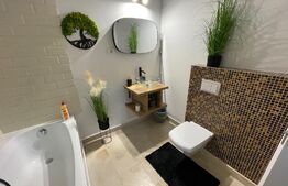 Apartament 1 camera, 45 mp, pet friendly, balcon, zona Wings 