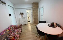 Apartament 1 camera, 45 mp, pet friendly, balcon, zona Wings 