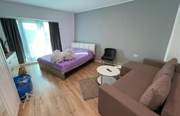 Apartament 1 camera, 45 mp, pet friendly, balcon, zona Wings 