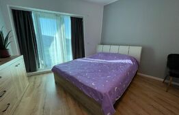 Apartament 1 camera, 45 mp, pet friendly, balcon, zona Wings 