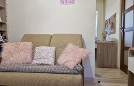 Apartament la cheie, 2 camere, etaj intermediar, zona Nora