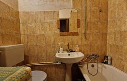 Garsoniera, 21mp, etaj intermediar, Someseni