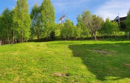 Casa de vacanță, pretabilă pentru pensiune în Moieciu