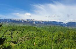 Casa de vacanță, pretabilă pentru pensiune în Moieciu