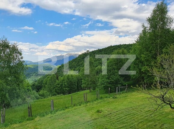 Casa de vânzare 5 camere Moieciu de jos - 135959CV | BLITZ Brașov | Poza7