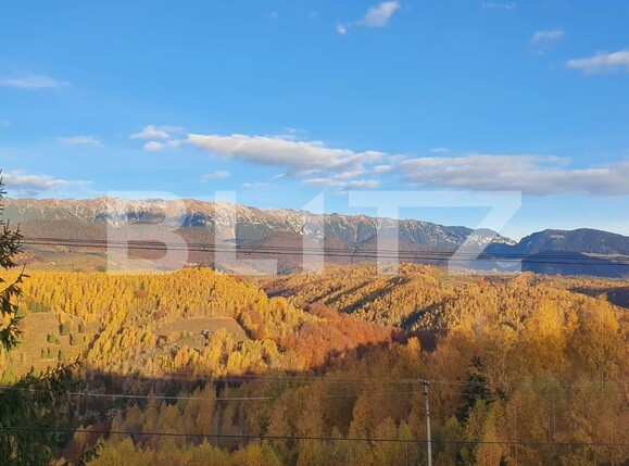 Casa de vânzare 5 camere Moieciu de jos - 135959CV | BLITZ Brașov | Poza6