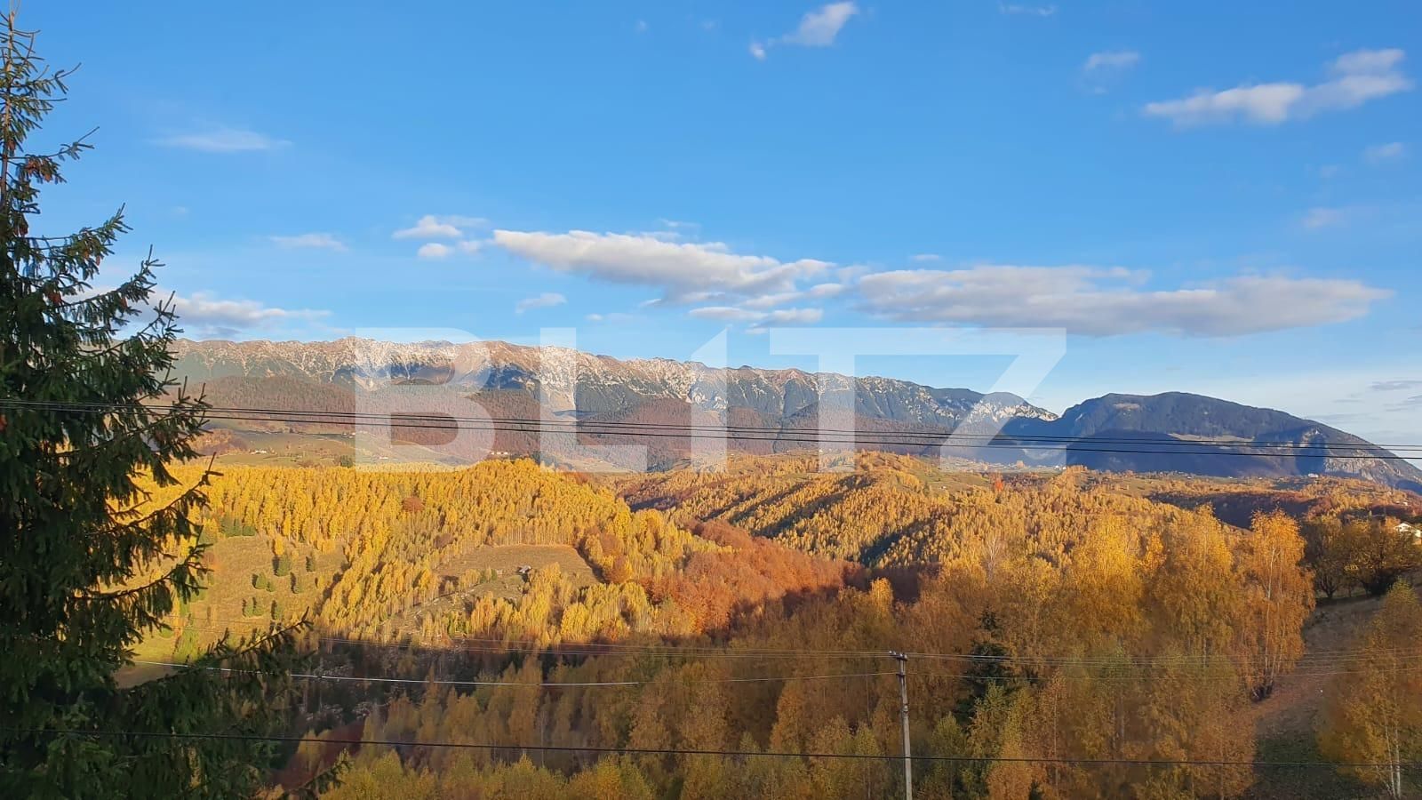 Casa de vânzare 5 camere Moieciu de jos - 135959CV | BLITZ Brașov | Poza6