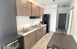 Apartament 1 camera spatioasa, dressing, 45 mp, parcare, Cartierul Grigorescu