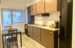 Apartament 1 camera spatioasa, dressing, 45 mp, parcare, Cartierul Grigorescu