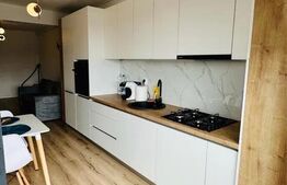 Apartament 2 camere, 45 mp utili, zona Dambu Rotund