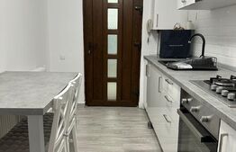 Studio, prima inchiriere, 50 mp, mobilat lux, zona Casa de cultura 