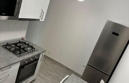 Studio, prima inchiriere, 50 mp, mobilat lux, zona Casa de cultura 